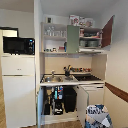 Location Aux Sybelles Pieds Des Pistes A Apartment